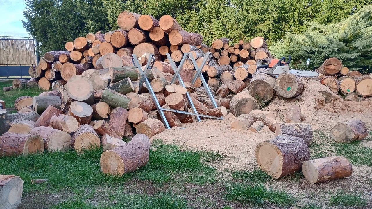 Wielka sterta pociętych kłód drewna, obok piła łańcuchowa.